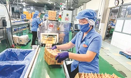 Thương hiệu “vang bóng một thời” mì Miliket thay đổi để thích nghi với thời cuộc ảnh: U.P 