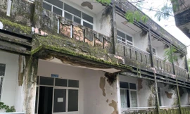 Một khối nhà bỏ hoang quá lâu đã xuống cấp, rêu phủ xanh Ảnh: NN