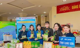 Chị Vy Thị Lụa (giữa) và những người khởi nghiệp xứ Lạng Ảnh: Duy Chiến 