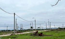 Đất đấu giá thuộc xã Nguyên Khê, huyện Đông Anh bỏ hoang nhiều năm 