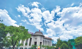 Nghị quyết Trung ương yêu cầu chấm dứt sở hữu chéo ngân hàng thay vì hạn chế như lâu nay. Tuy khó xử lý hoàn toàn tình trạng sở hữu chéo trong hoạt động ngân hàng