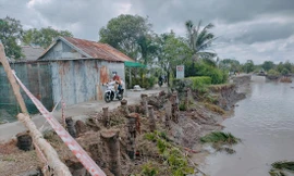 Vụ sạt lở tuyến đường ô tô độc đạo về trung tâm xã Nguyễn Huân (huyện Đầm Dơi) khiến nền và mặt đường trôi xuống sông 