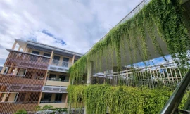 Hành lang nối hai khối nhà của Trường THCS Trần Hưng Đạo ngát xanh, tạo điểm nhấn cho trường Ảnh: Thanh Hiền