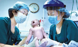  Giải thưởng Hồ Chí Minh, giải thưởng Nhà nước: Bao giờ ảnh thời bình vào giải?