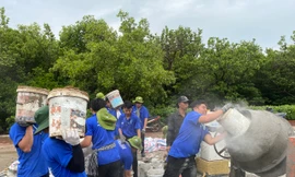 Các chiến sĩ tình nguyện trường ĐH Sư phạm TPHCM làm công trình sân bóng chuyền tại xã đảo 