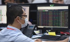 Vốn nội “trỗi dậy” làm chủ cuộc chơi, bất chấp khối ngoại bán ròng liên tục Ảnh: Như ý