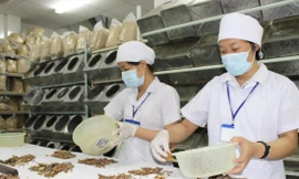 Tất cả các loại thuốc cần phải được bác sĩ kê toa, chỉ định điều trị