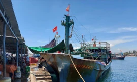 Nhiều tàu cá lại đứng trước nguy cơ nằm bờ vì giá dầu tăng cao Ảnh: Hoài Văn