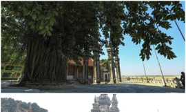 Cây đa trước cổng đình Chèm bị chặt hạ khi chưa có ý kiến của cơ quan chuyên môn, cơ quan quản lý Ảnh: KỲ SƠN 