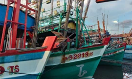 Cà Mau khởi tố 11 vụ án vi phạm chống khai thác IUU