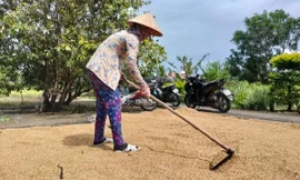 Cà Mau: Hủy quyết định kỷ luật cán bộ do sai căn cứ pháp lý