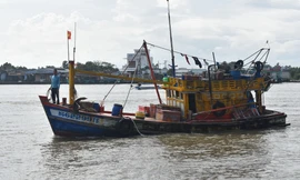 Khởi tố 7 vụ dùng súng, gạch đá giải quyết tranh chấp ngư trường ở Cà Mau 