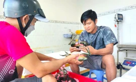 Cua Cà Mau hơn 1,1 triệu đồng/kg ngày Tết