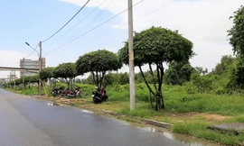 Khởi tố 2 nguyên phó chủ tịch huyện ở Bạc Liêu