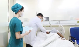 Người đàn ông nguy kịch vì bị ong vò vẽ đốt hơn 120 vết