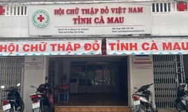 Hội Chữ thập đỏ tỉnh Cà Mau chưa cấp phát 50 triệu đồng cho hộ mất thu nhập do ảnh hưởng COVID-19