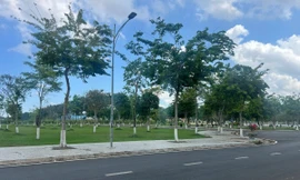 Chi tiết 29 dự án cây xanh Bộ Công an yêu cầu Bạc Liêu cung cấp hồ sơ 