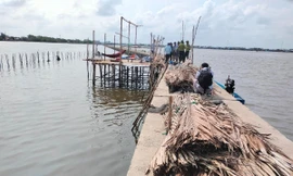 Vụ bao chiếm đất rừng phòng hộ để nuôi sò: Chủ tịch Cà Mau yêu cầu xử lý trách nhiệm cá nhân