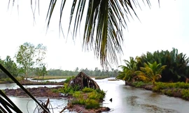 Một số mô hình giảm nghèo ở Cà Mau không mang lại hiệu quả