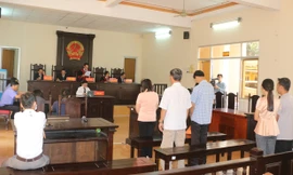 Vợ chồng giám đốc công ty thuỷ sản tại Bạc Liêu chiếm đoạt 67 tỷ đồng của 3 ngân hàng