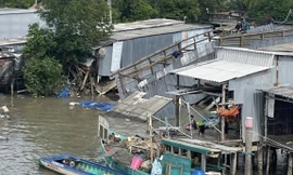 Sạt lở trong đêm ở Cà Mau, 4 căn nhà đổ sập xuống sông