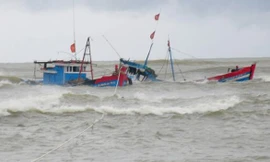 Cứu 5 ngư dân bị chìm tàu trên biển