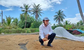 Cam kết giải phóng hàng nghìn tấn lúa Việt Nam ngon nhất thế giới bị ế