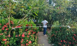 Bắt nghi phạm sát hại 3 người trong gia đình ở Cà Mau