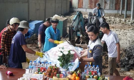 Cá heo bơi lạc vào sông ở Cà Mau đã chết