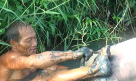 Người đàn ông bắt lịch bằng chân ở Cà Mau