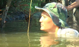 Độc đáo nghề cắm câu lịch ở Cà Mau 