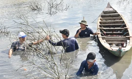 Về Đất Mũi xem nông dân dỡ chà bắt cá