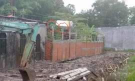 Đình chỉ điều tra vụ dùng cây tác động làm hỏng camera nhà hàng xóm ở Cà Mau