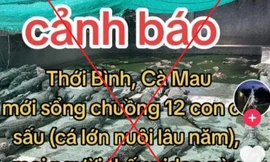 Bị phạt 7,5 triệu đồng vì đăng tin hóng hớt '12 con cá sấu xổng chuồng' 