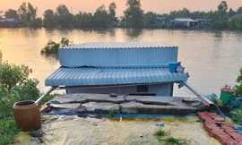 Đêm sạt lở kinh hoàng ở Đầm Dơi, nhiều căn nhà đổ ập xuống sông