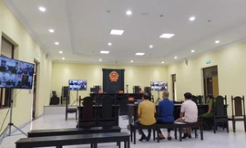 Cha con đại gia điện gió miền Tây được giảm án