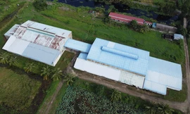 Doanh nghiệp xây trái phép nhà máy, văn phòng hơn 3ha trên đất lúa