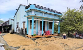 Sắp ‘giải cứu’ xong hàng nghìn tấn lúa Việt Nam ngon nhất thế giới bị ế