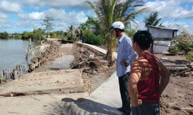 Đang thi công kè chống sạt lở lại… bị sạt lở