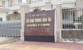 Cấp một giấy phép cho nhiều xe