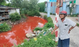 Nước kênh bỗng chuyển sang màu đỏ lạ thường ở Cà Mau