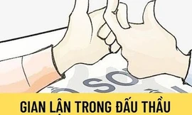 'Cấm cửa' dự thầu trong 3 năm với một công ty ở Cà Mau