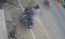 [Clip] Người đàn ông ngang nhiên trộm chậu cây kiểng giữa ban ngày