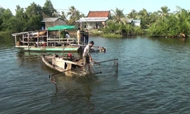 Sà lan đâm ghe làm 1 người tử vong ở Cà Mau