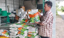 Nông dân 'ngậm trái đắng' vì mua phải lúa giống giả nhãn hiệu