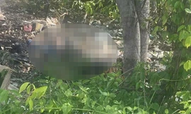 Đi tảo mộ, người dân bàng hoàng phát hiện thi thể nam giới