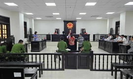 Dùng sổ đỏ giả để lừa gần 1,3 tỷ đồng