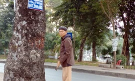 Vụ lột vỏ xà cừ ở Hà Nội: Thủ phạm là… cụ ông 80 tuổi