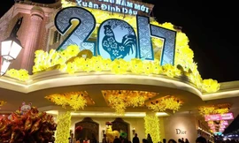 Những cành mai vàng cùng chú gà được trang trí tại Tràng Tiền plaza chào đón năm Đinh Dậu