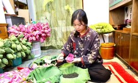 Khám phá quy trình ướp trà sen đắt đỏ nhất Hà thành